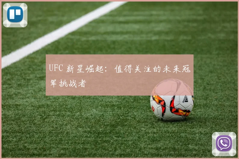 UFC 新星崛起：值得关注的未来冠军挑战者
