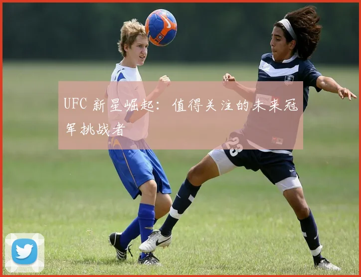 UFC 新星崛起:值得关注的未来冠军挑战者